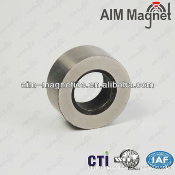 Rare Earth Permanemt NdFeB Magnetic Generator